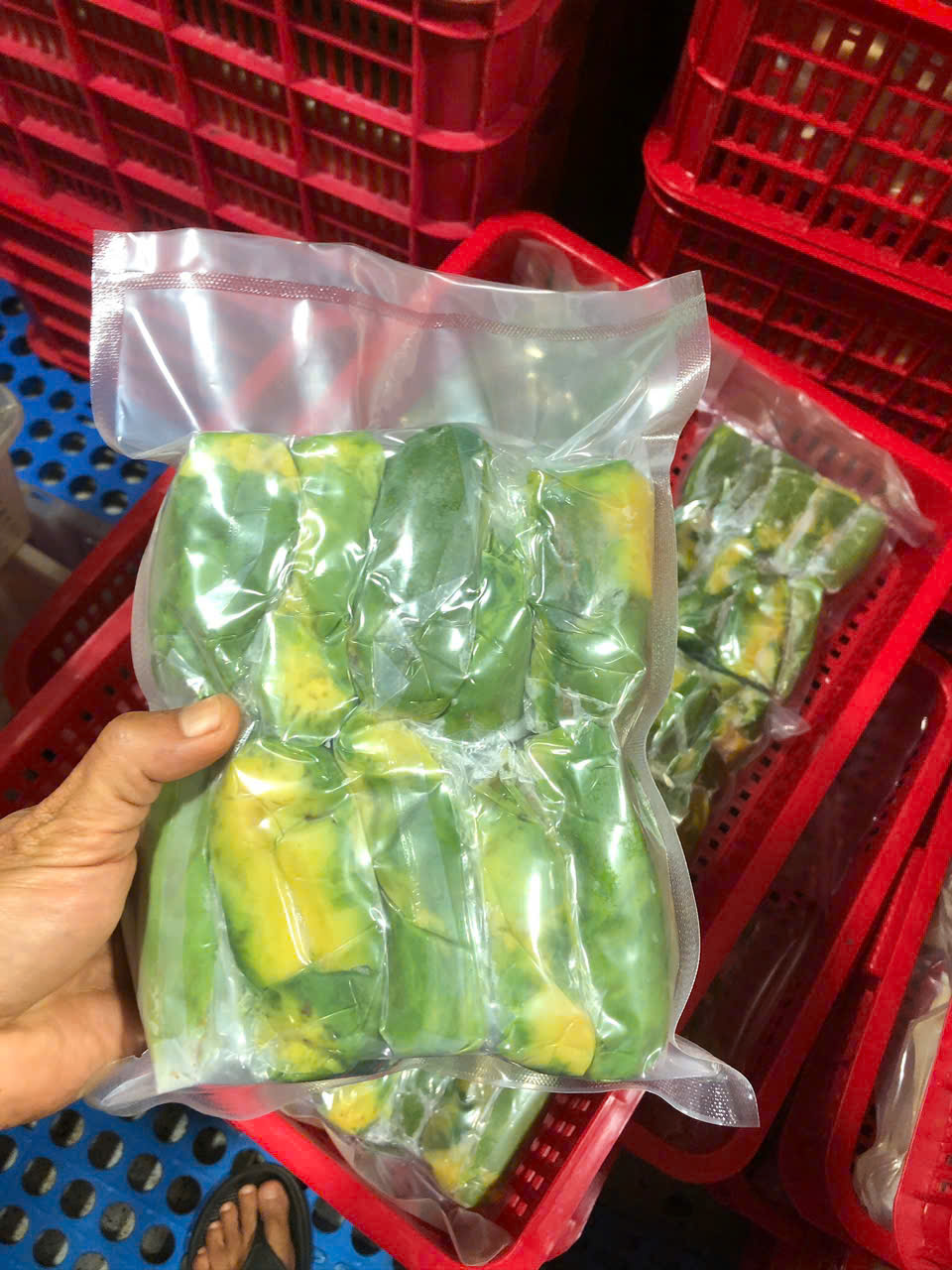 Bơ 034 Cấp Đông (Cắt lát, Cắt viên) - Định lượng 100g | 1Kg | Thùng 20kg - 50kg - Ảnh 3